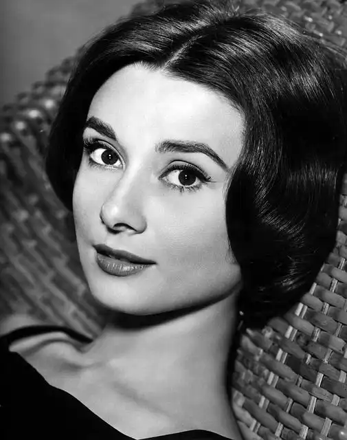 audrey image