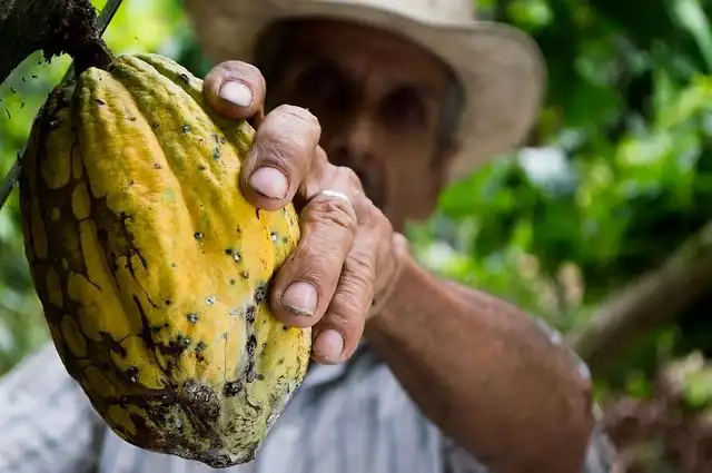 colombia image