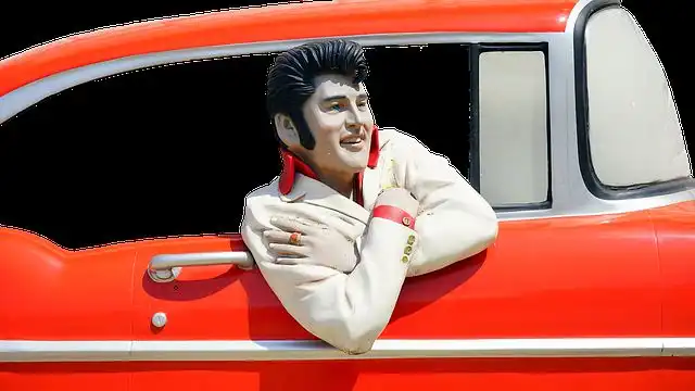 elvis image