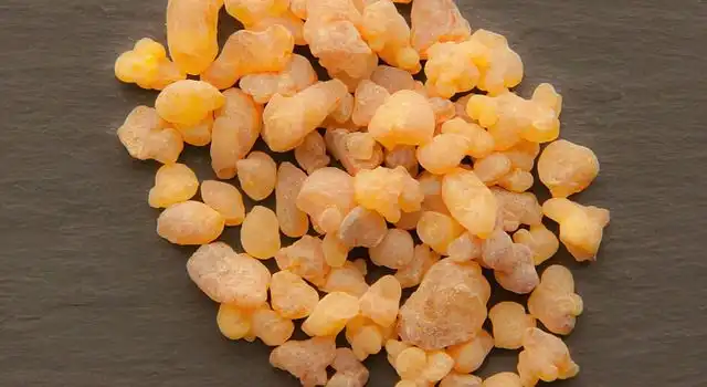 frankincense image