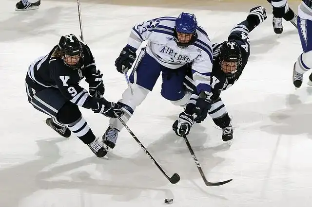 ice-rink image