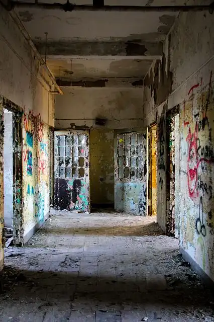 insane-asylum image