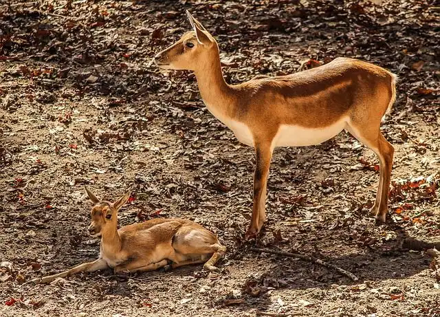 mother-nature image