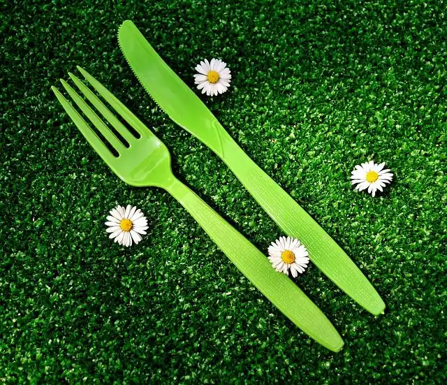 plastic-cutlery image