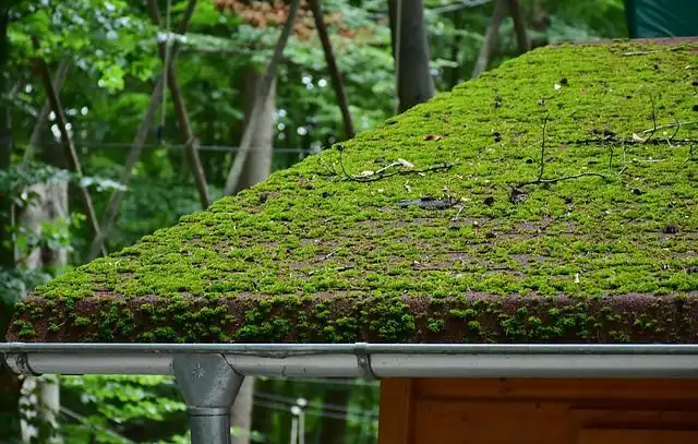 roof-gutter image