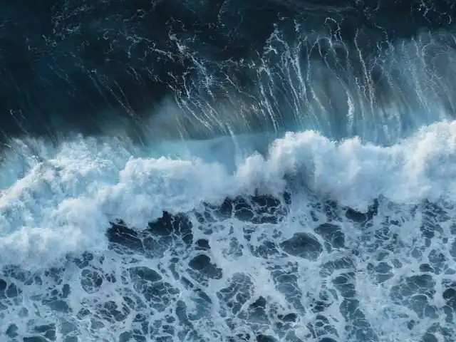 swells image